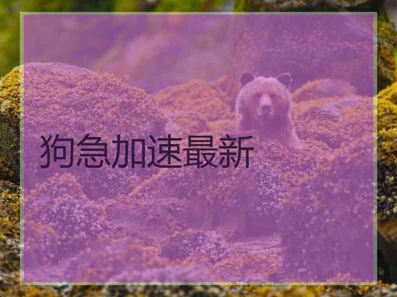 狗急加速最新