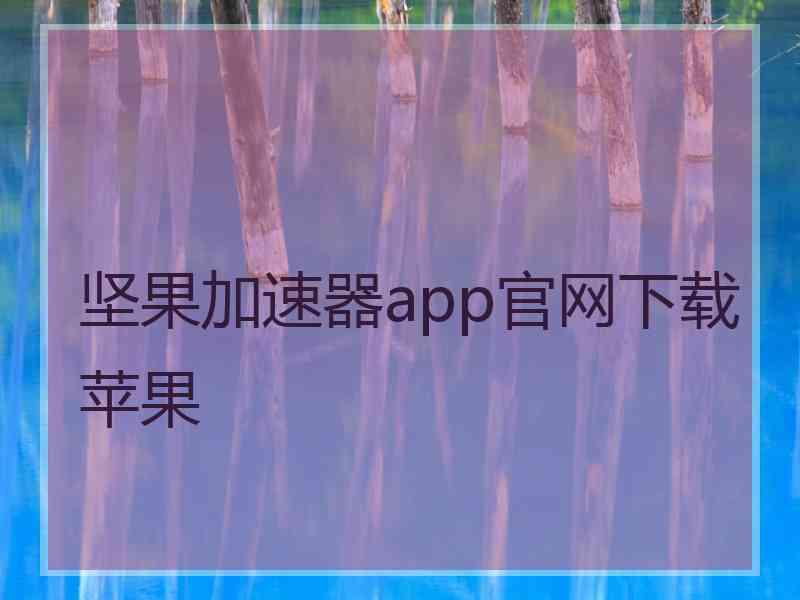 坚果加速器app官网下载苹果