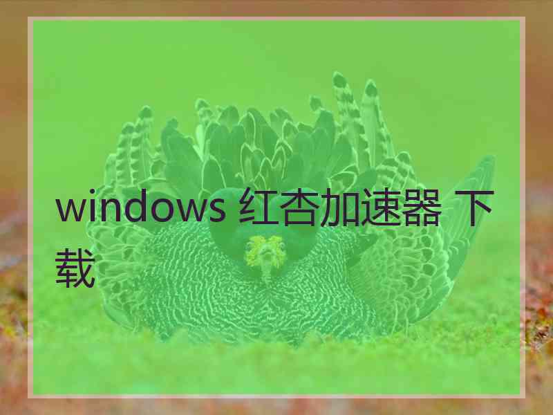 windows 红杏加速器 下载