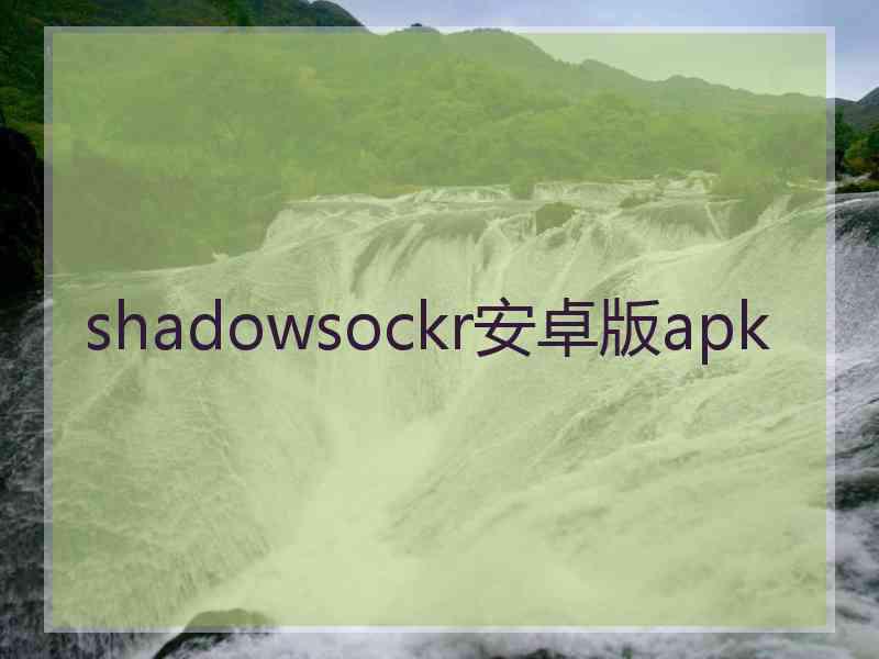 shadowsockr安卓版apk