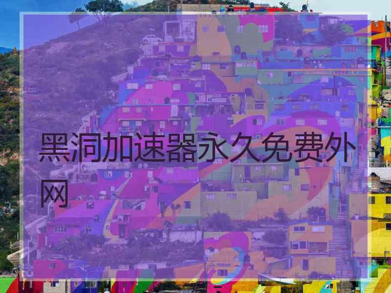 黑洞加速器永久免费外网