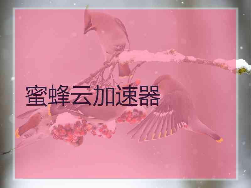 蜜蜂云加速器