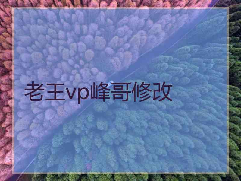 老王vp峰哥修改