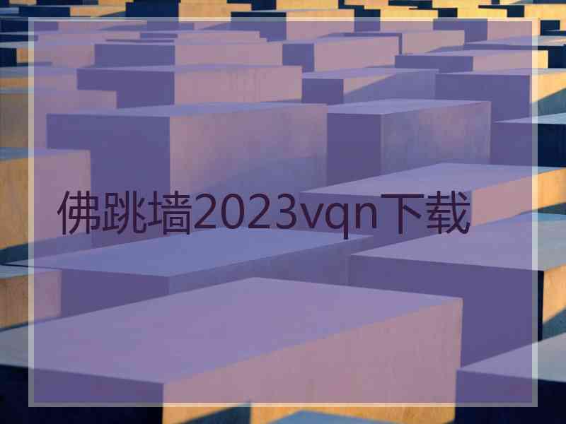 佛跳墙2023vqn下载