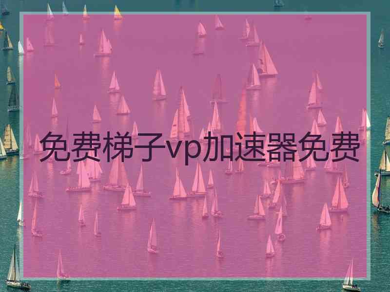 免费梯子vp加速器免费