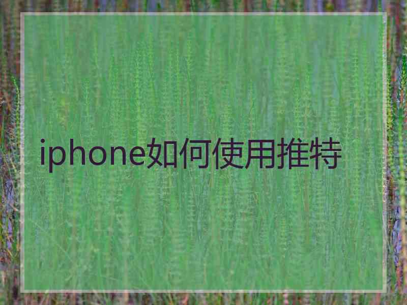 iphone如何使用推特