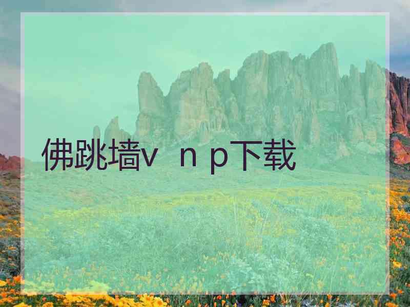 佛跳墙v  n p下载