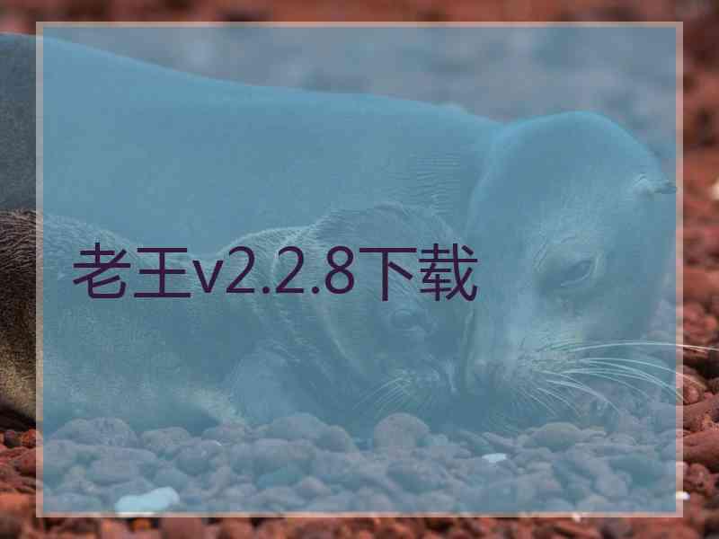 老王v2.2.8下载