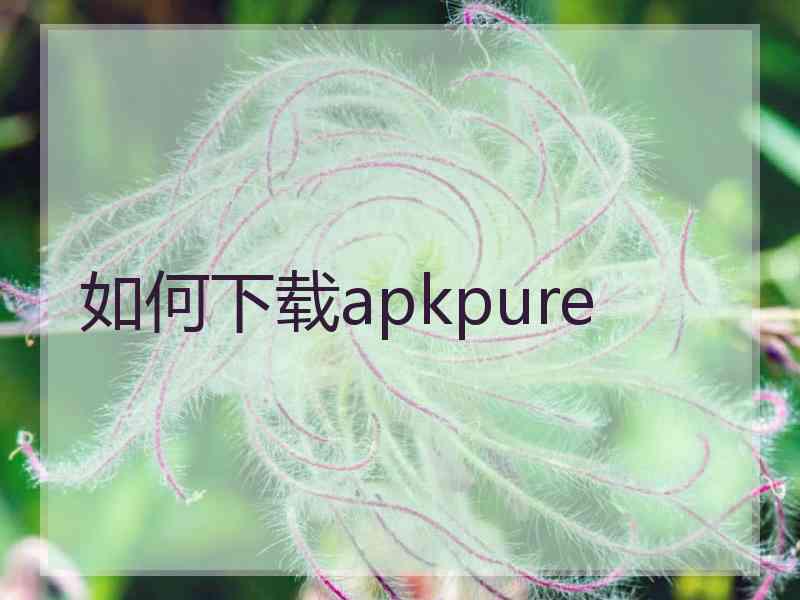 如何下载apkpure