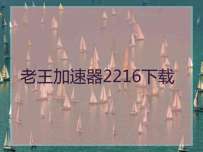 老王加速器2216下载