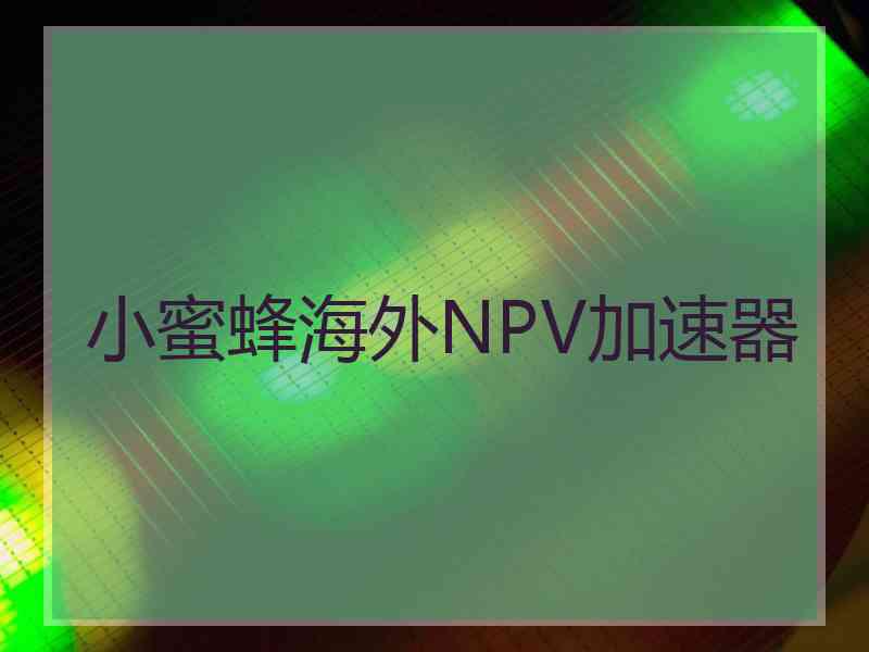 小蜜蜂海外NPV加速器