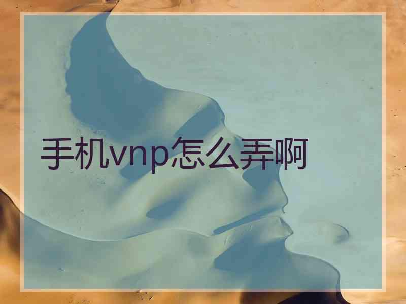 手机vnp怎么弄啊