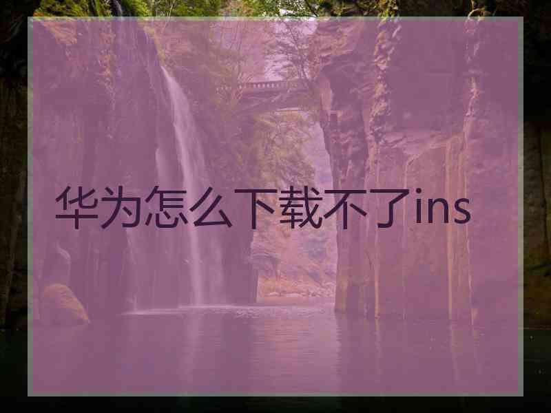 华为怎么下载不了ins