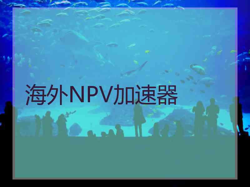 海外NPV加速器