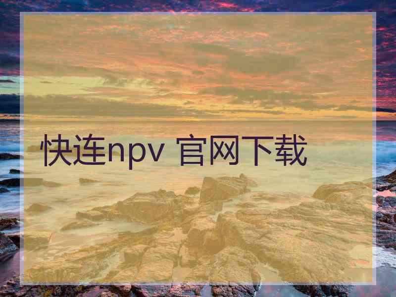 快连npv 官网下载