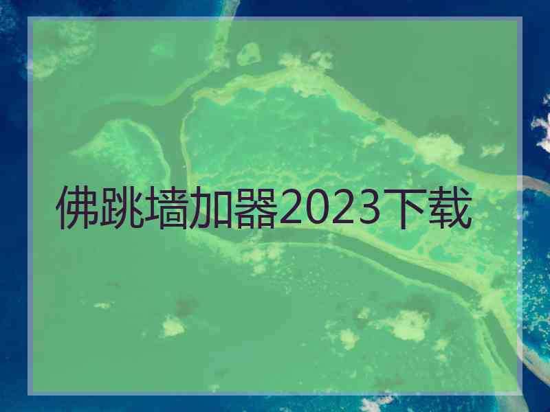 佛跳墙加器2023下载