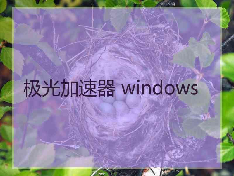 极光加速器 windows