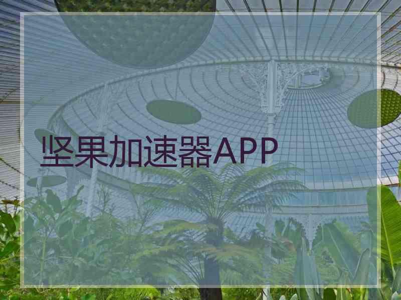 坚果加速器APP