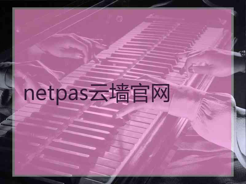 netpas云墙官网