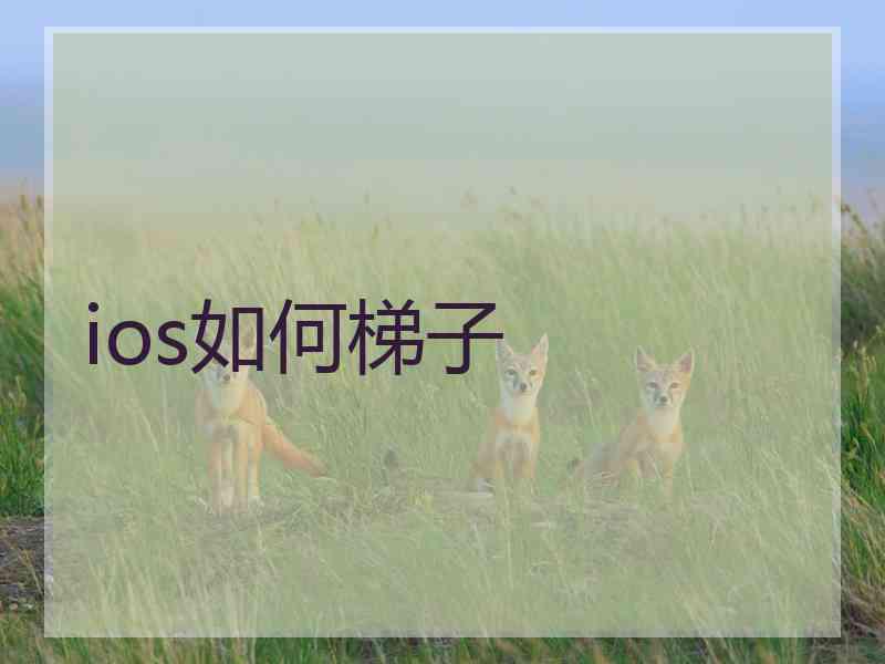 ios如何梯子