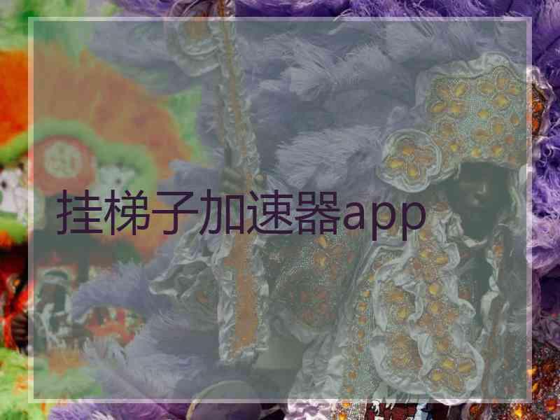 挂梯子加速器app