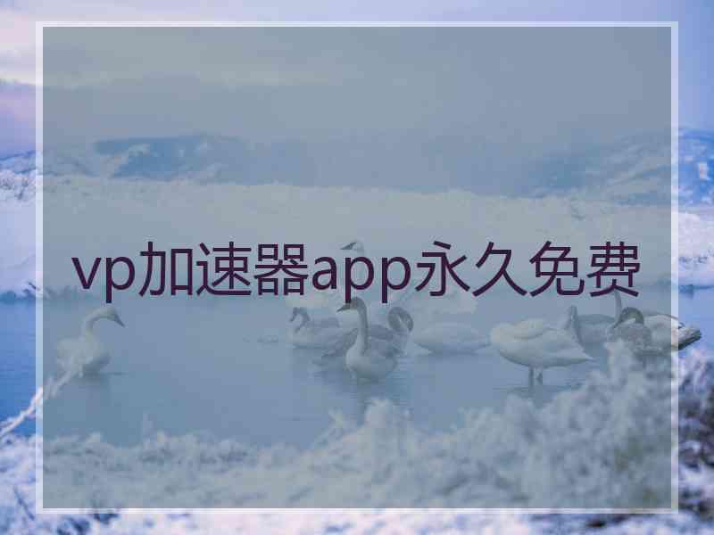 vp加速器app永久免费