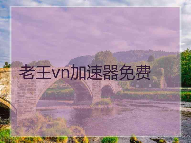 老王vn加速器免费