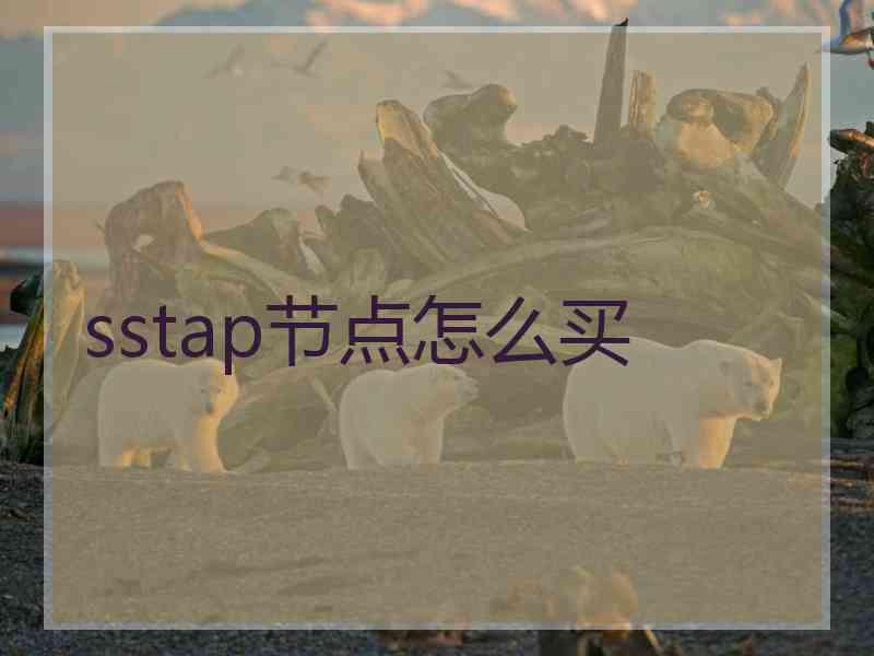 sstap节点怎么买