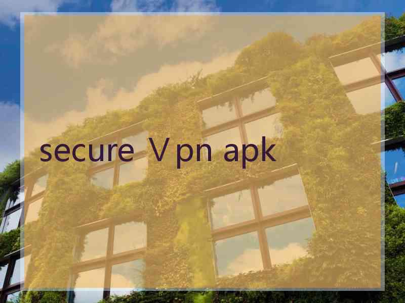 secure Ⅴpn apk