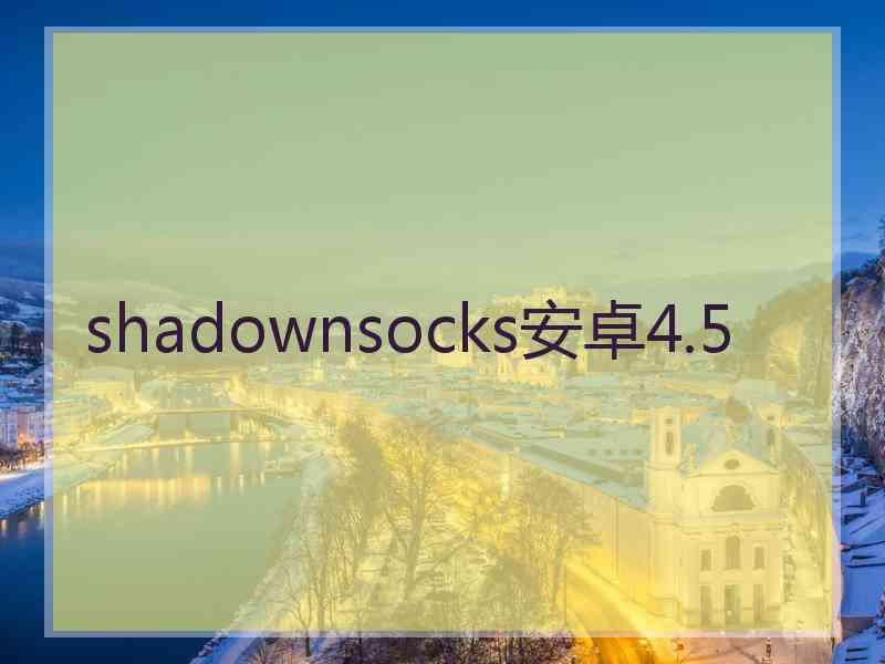 shadownsocks安卓4.5