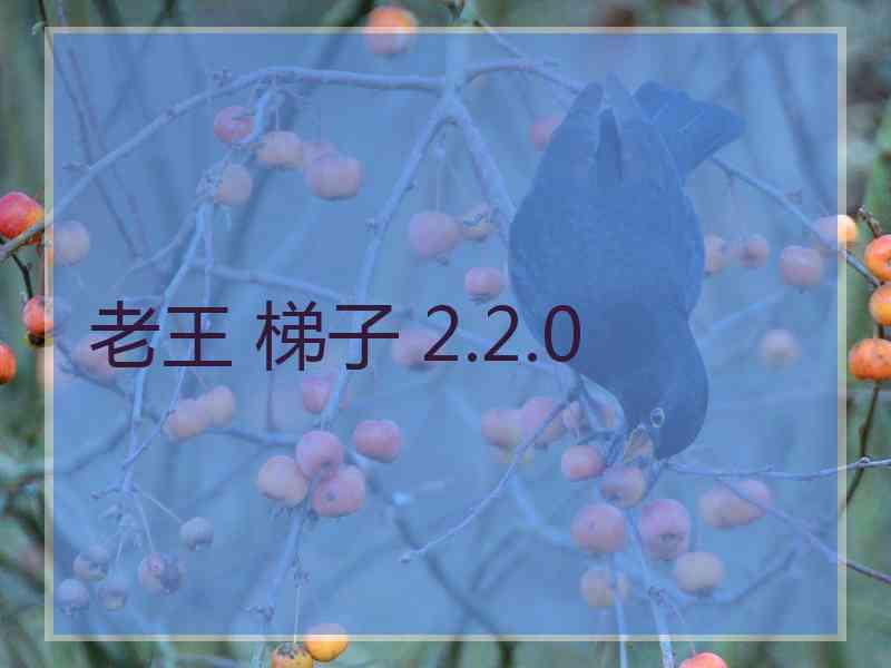 老王 梯子 2.2.0