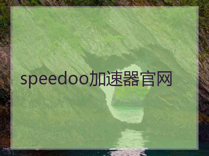 speedoo加速器官网