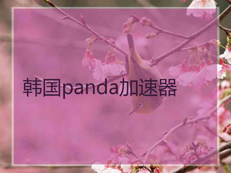 韩国panda加速器