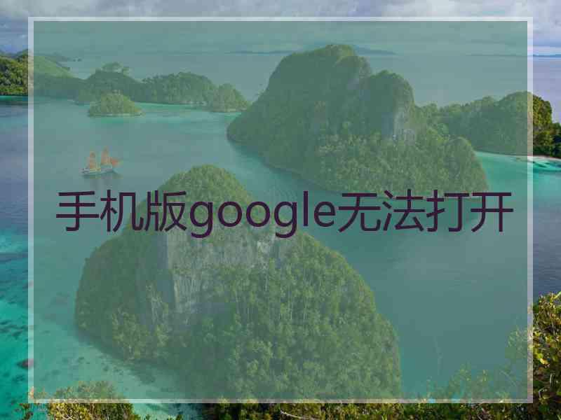 手机版google无法打开