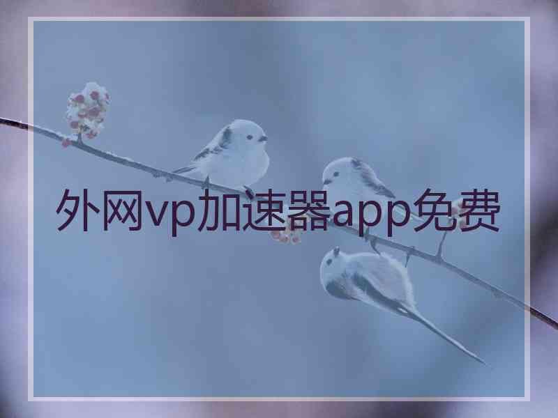 外网vp加速器app免费