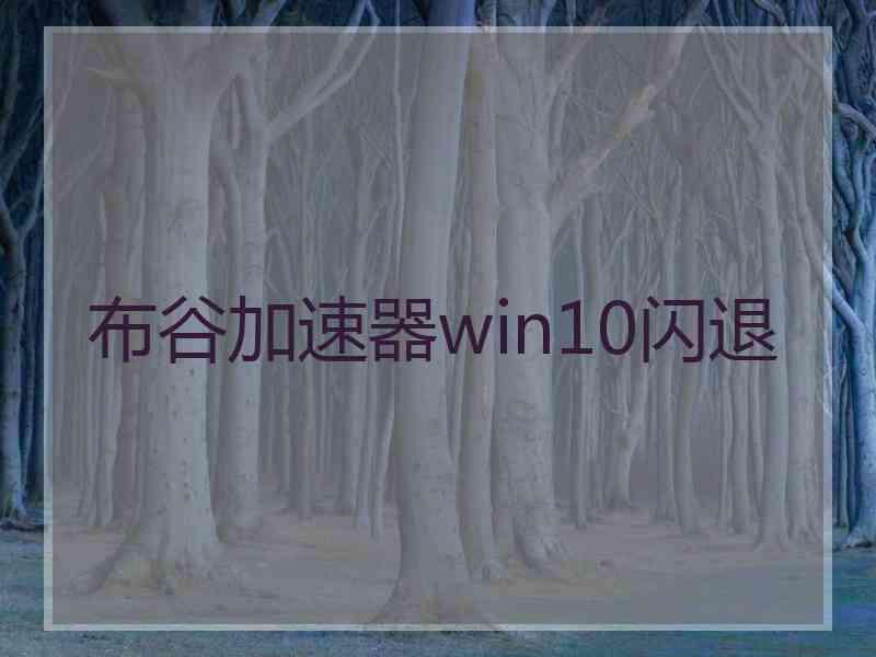 布谷加速器win10闪退