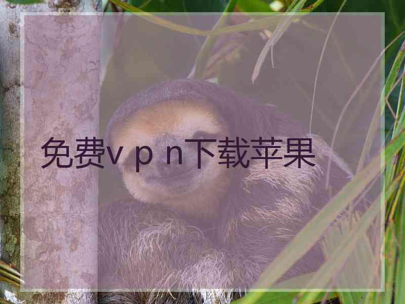 免费v p n下载苹果