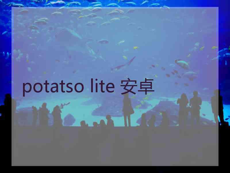 potatso lite 安卓