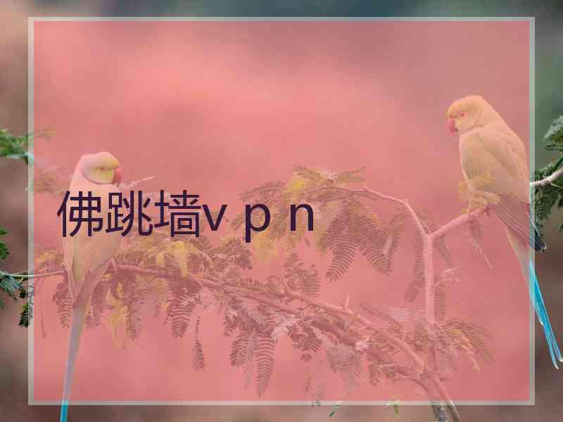 佛跳墙v p n