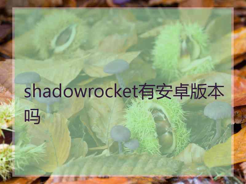 shadowrocket有安卓版本吗