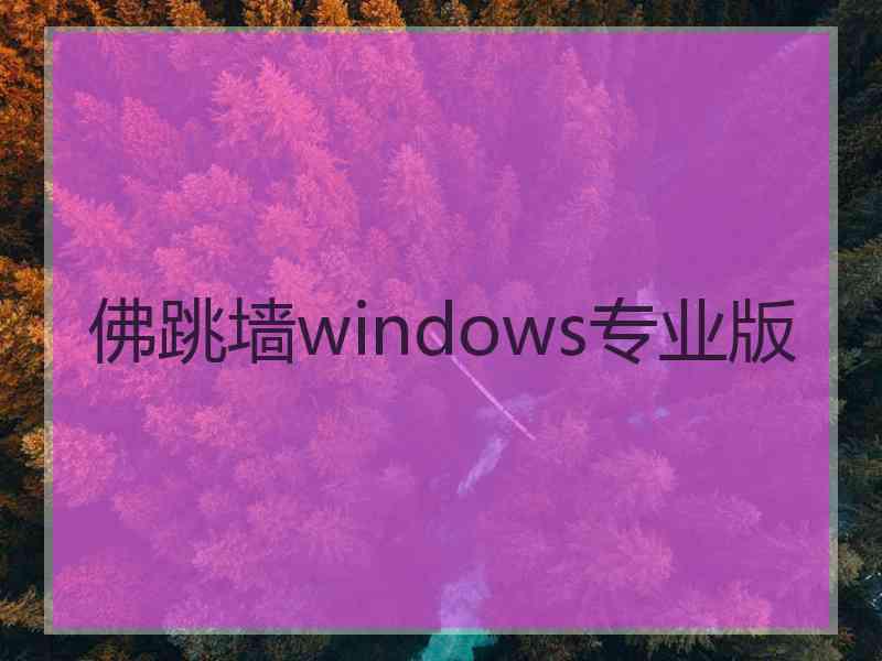 佛跳墙windows专业版