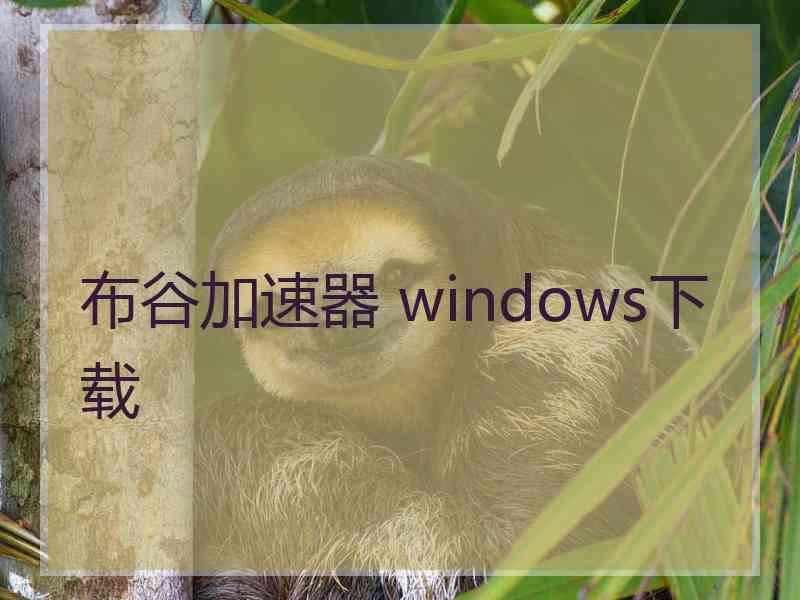 布谷加速器 windows下载