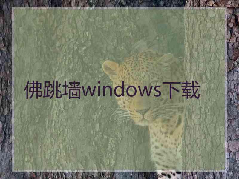 佛跳墙windows下载