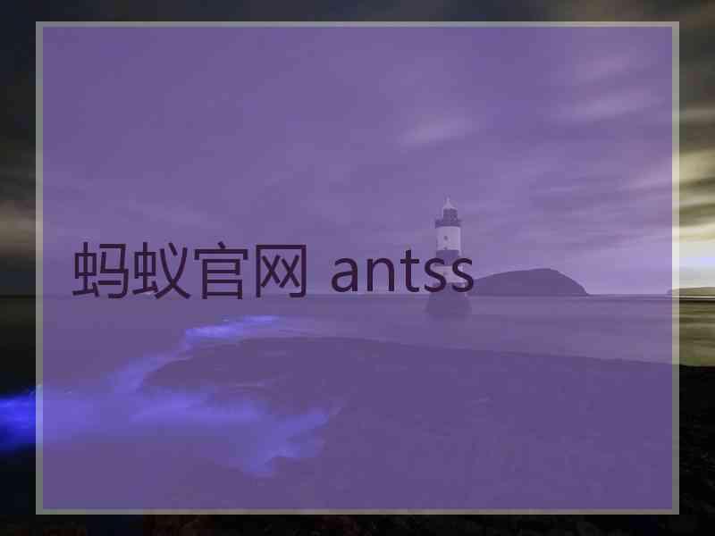 蚂蚁官网 antss