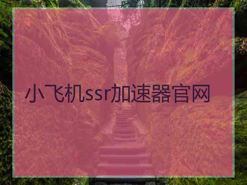 小飞机ssr加速器官网