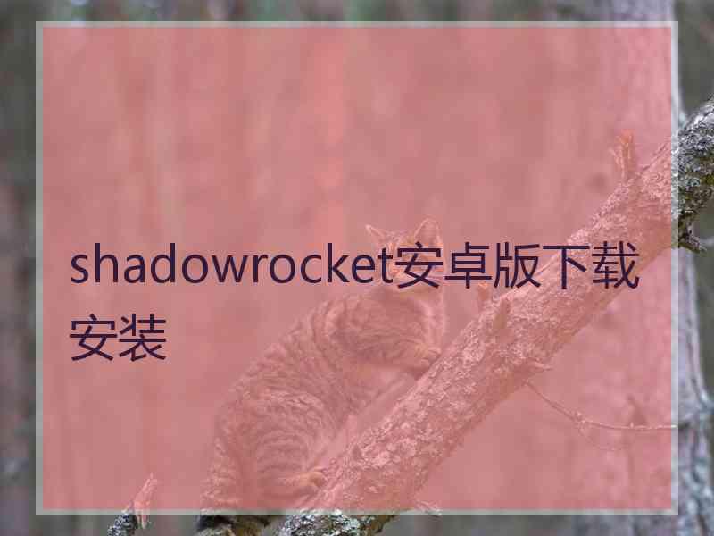 shadowrocket安卓版下载安装