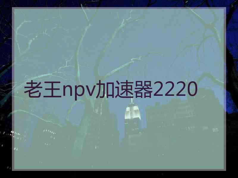 老王npv加速器2220