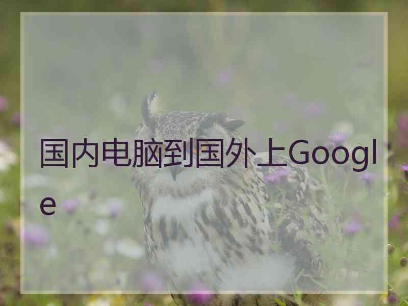 国内电脑到国外上Google