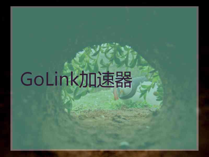 GoLink加速器