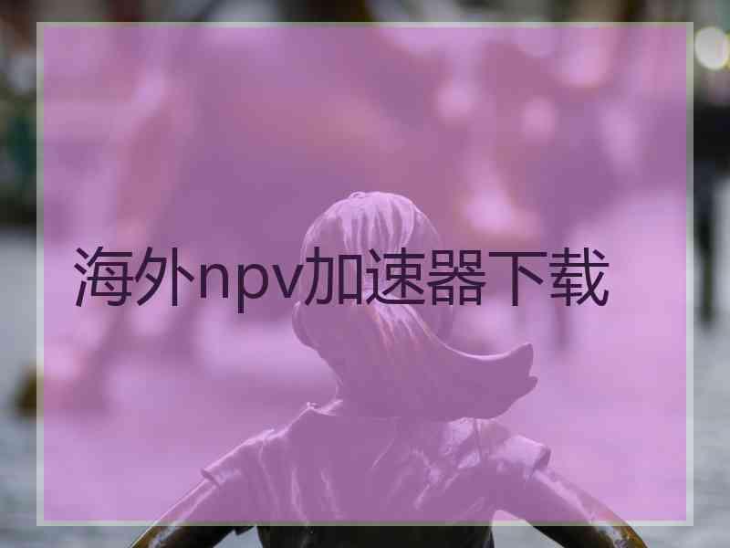 海外npv加速器下载